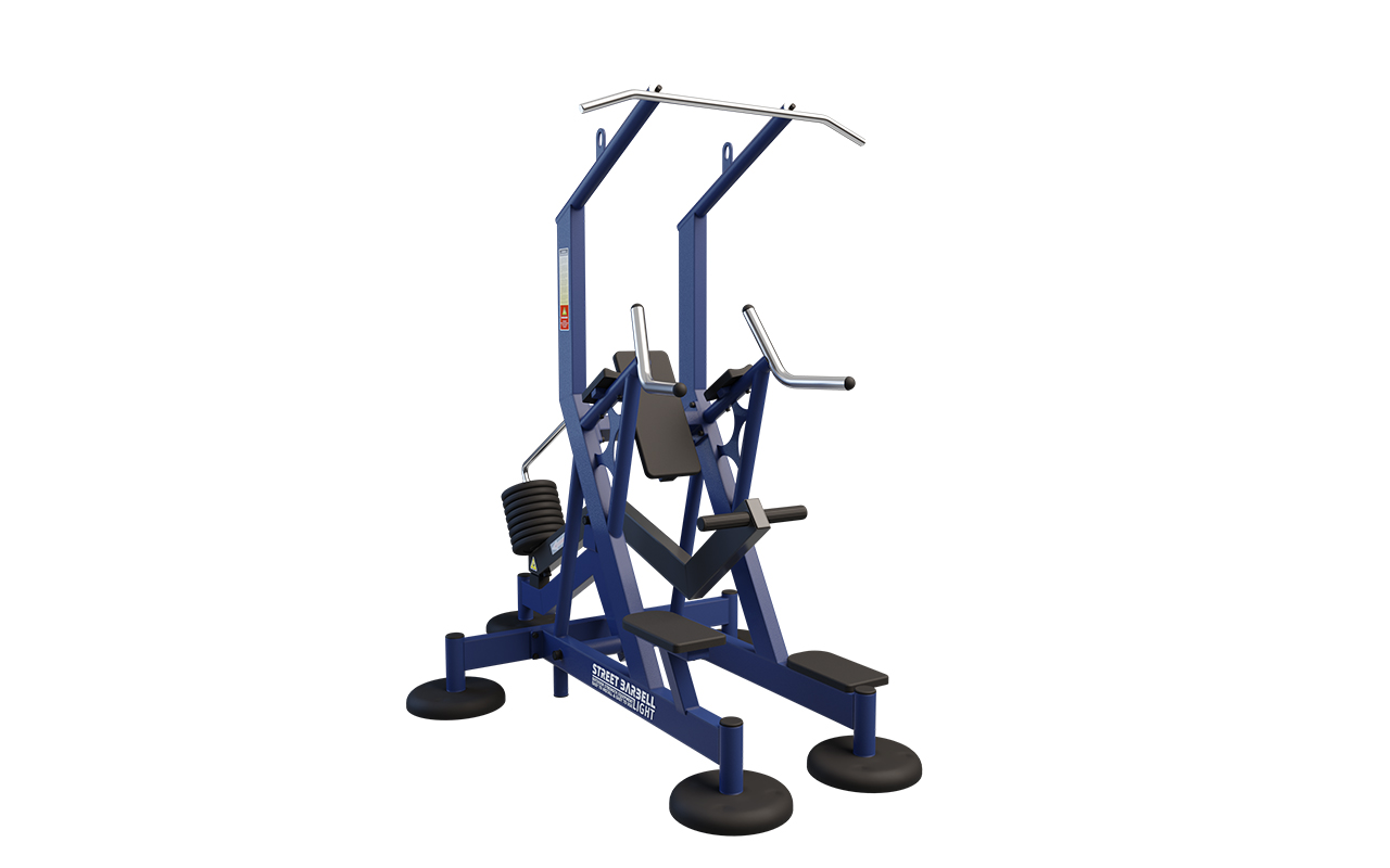 ASSISTED PULL-UPS + TRICEPS DIPS : 
