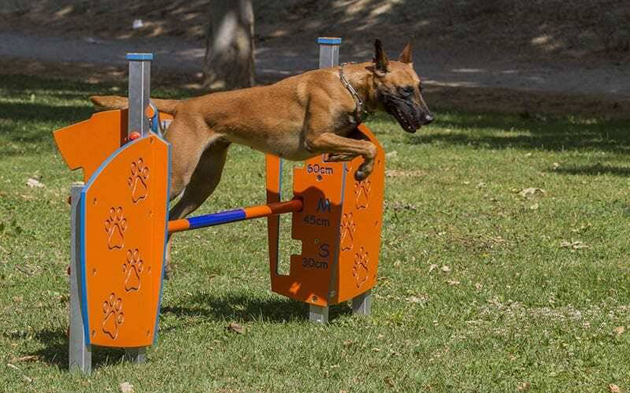 HURDLE - HURDLE - AGILITY DOG