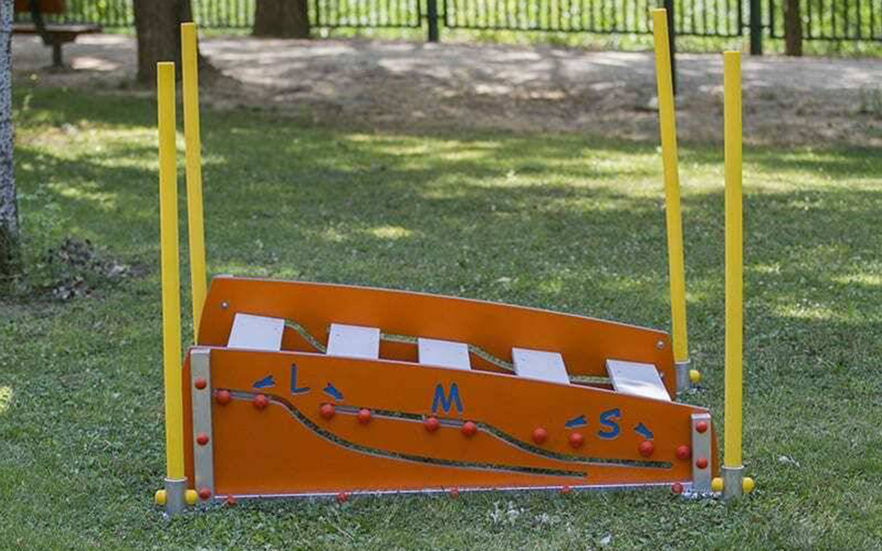 LONG JUMP - LONG JUMP - AGILITY DOG