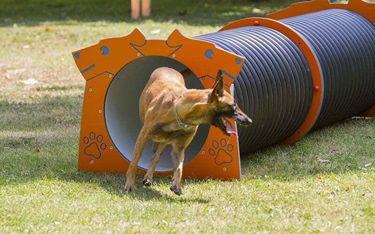TUBE TUNNEL - TUBE TUNNEL - AGILITY DOG