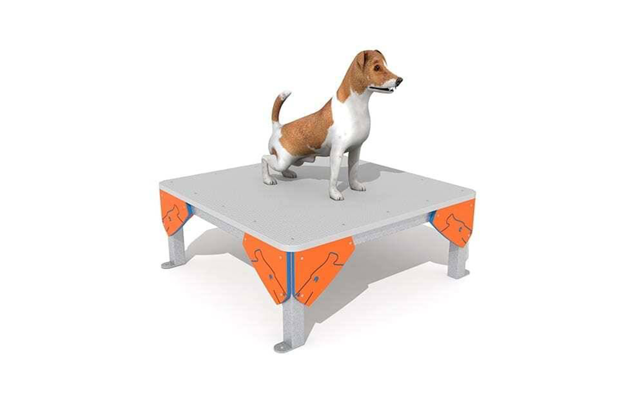 TABLE : 